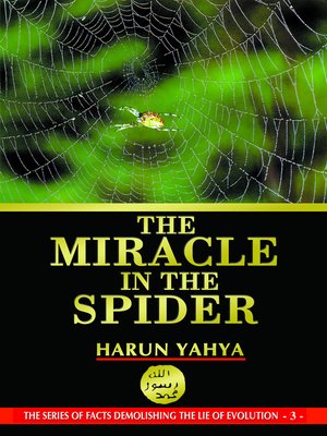 cover image of The Miracle in the Spider